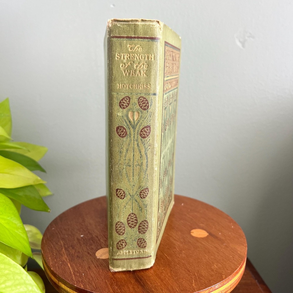 Antique 1902 Book The Strength Of Th Weak By Chauncey C. Hotchkiss 1st Edition - Picture 8 of 11